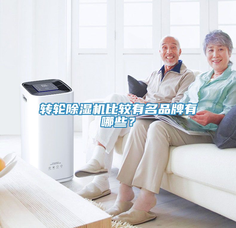 轉(zhuǎn)輪除濕機(jī)比較有名品牌有哪些？