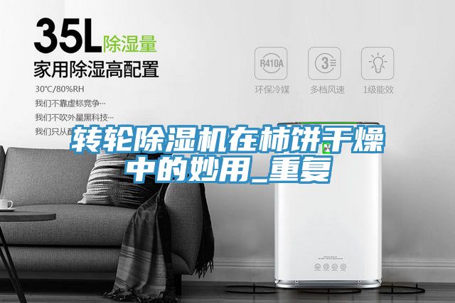 轉(zhuǎn)輪除濕機(jī)在柿餅干燥中的妙用_重復(fù)