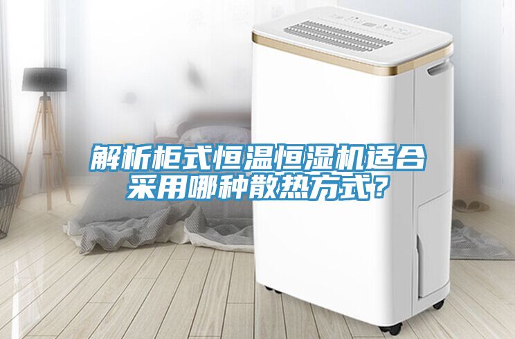 解析柜式恒溫恒濕機(jī)適合采用哪種散熱方式？