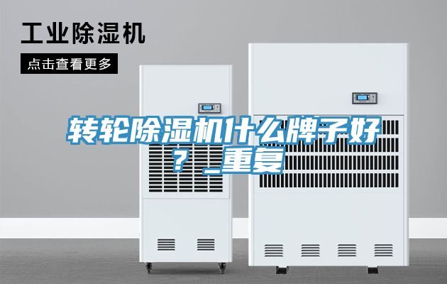 轉(zhuǎn)輪除濕機(jī)什么牌子好？_重復(fù)