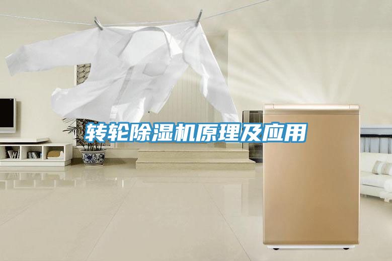 轉(zhuǎn)輪除濕機原理及應用