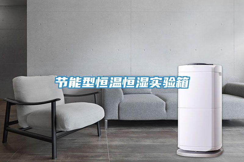 節(jié)能型恒溫恒濕實驗箱