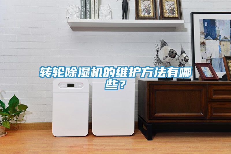 轉(zhuǎn)輪除濕機(jī)的維護(hù)方法有哪些？