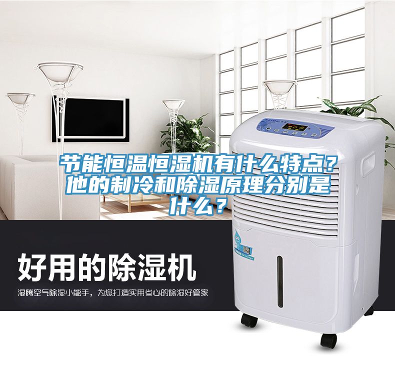 節(jié)能恒溫恒濕機有什么特點？他的制冷和除濕原理分別是什么？
