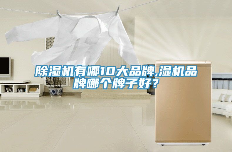 除濕機(jī)有哪10大品牌,濕機(jī)品牌哪個牌子好？