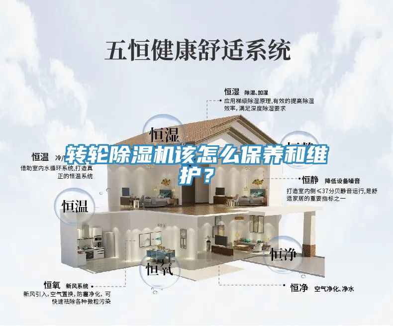 轉(zhuǎn)輪除濕機(jī)該怎么保養(yǎng)和維護(hù)？