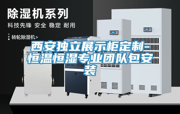 西安獨(dú)立展示柜定制-恒溫恒濕專業(yè)團(tuán)隊(duì)包安裝