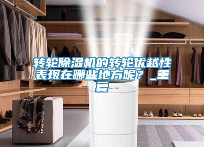 轉(zhuǎn)輪除濕機(jī)的轉(zhuǎn)輪優(yōu)越性表現(xiàn)在哪些地方呢？_重復(fù)