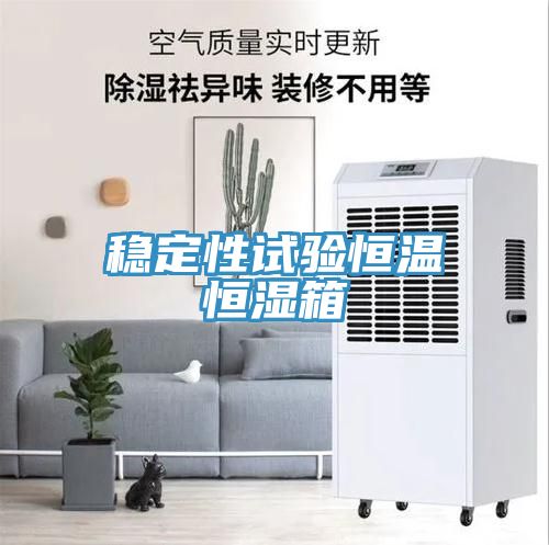 穩(wěn)定性試驗(yàn)恒溫恒濕箱