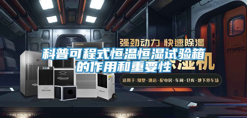 科普可程式恒溫恒濕試驗(yàn)箱的作用和重要性