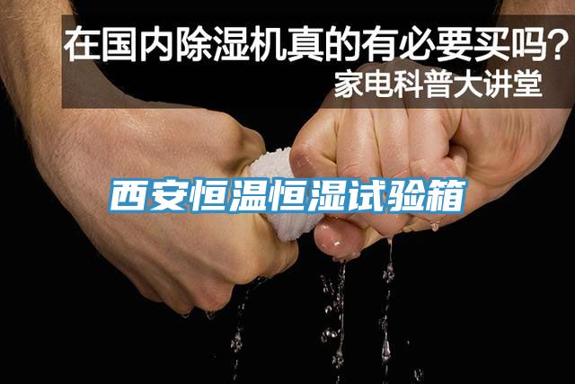 西安恒溫恒濕試驗(yàn)箱
