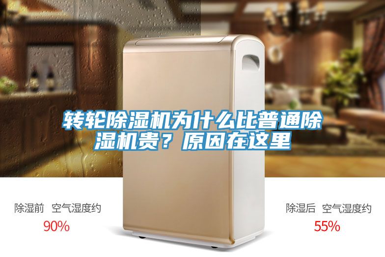 轉(zhuǎn)輪除濕機(jī)為什么比普通除濕機(jī)貴？原因在這里