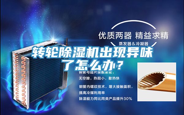 轉(zhuǎn)輪除濕機出現(xiàn)異味了怎么辦？