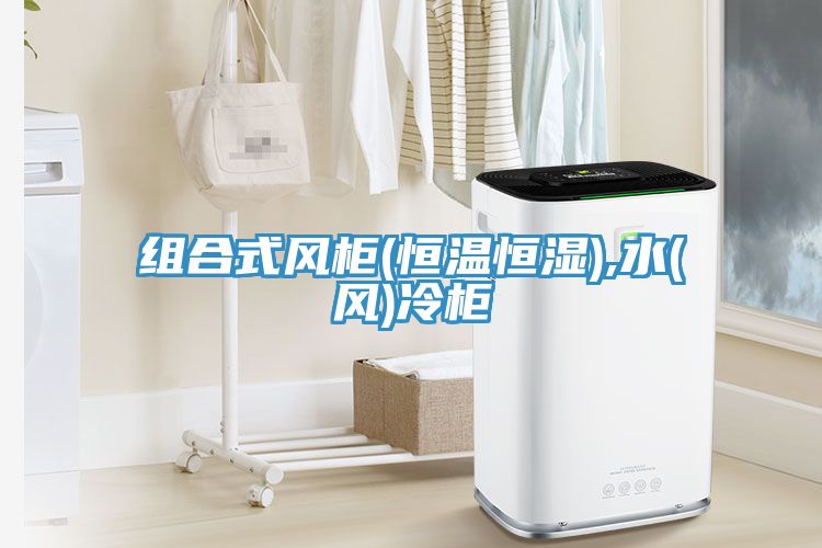 組合式風(fēng)柜(恒溫恒濕),水(風(fēng))冷柜