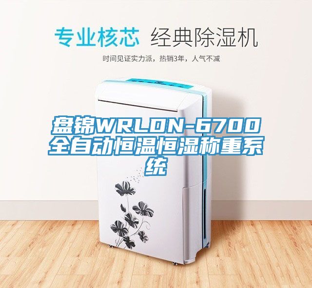盤錦WRLDN-6700全自動(dòng)恒溫恒濕稱重系統(tǒng)