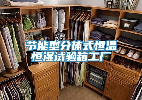 節(jié)能型分體式恒溫恒濕試驗箱工廠