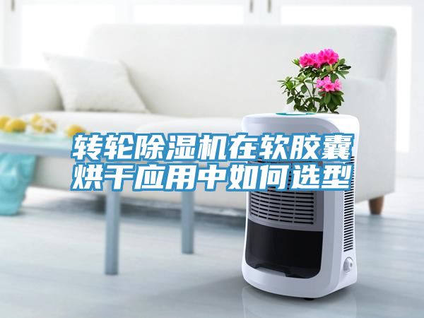 轉(zhuǎn)輪除濕機(jī)在軟膠囊烘干應(yīng)用中如何選型