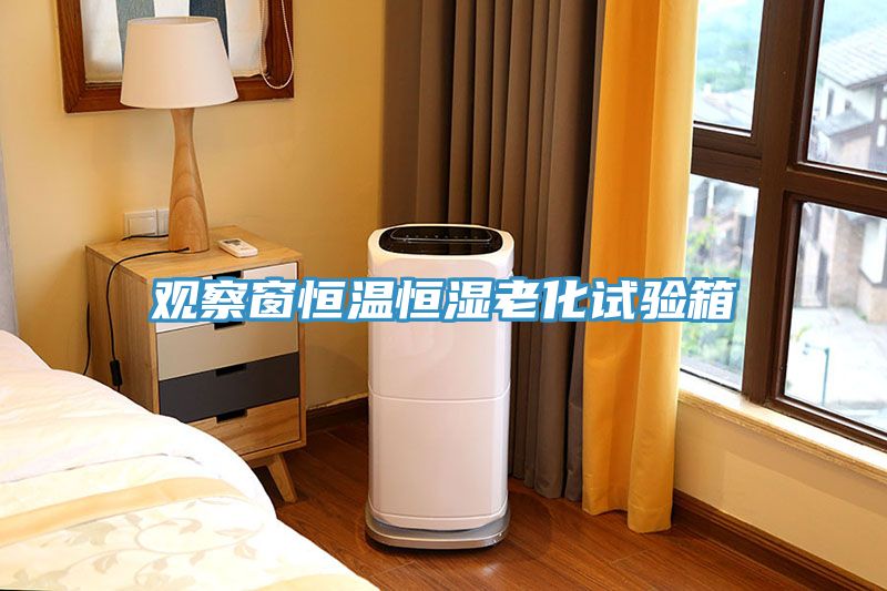 觀察窗恒溫恒濕老化試驗(yàn)箱