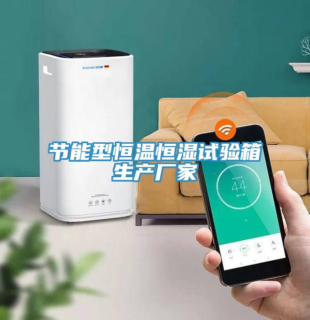 節(jié)能型恒溫恒濕試驗箱生產(chǎn)廠家