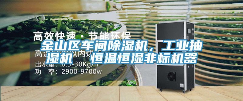 金山區(qū)車間除濕機(jī)，工業(yè)抽濕機(jī)  恒溫恒濕非標(biāo)機(jī)器