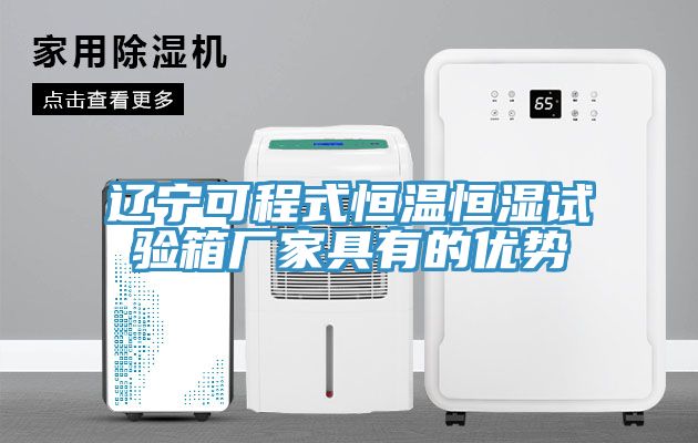 遼寧可程式恒溫恒濕試驗箱廠家具有的優(yōu)勢