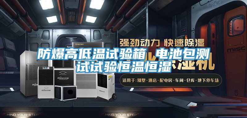 防爆高低溫試驗(yàn)箱 電池包測試試驗(yàn)恒溫恒濕