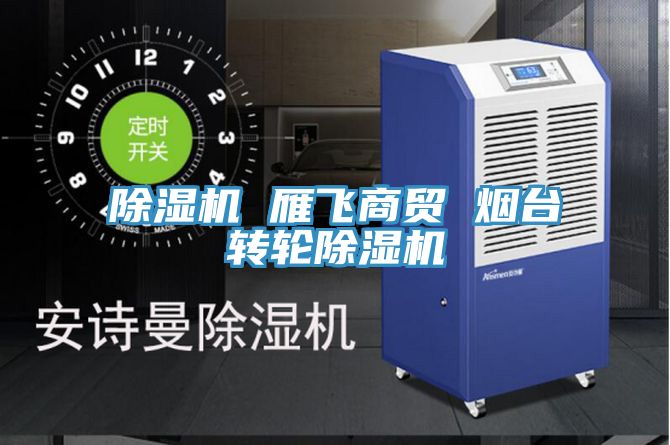 除濕機(jī) 雁飛商貿(mào) 煙臺(tái)轉(zhuǎn)輪除濕機(jī)