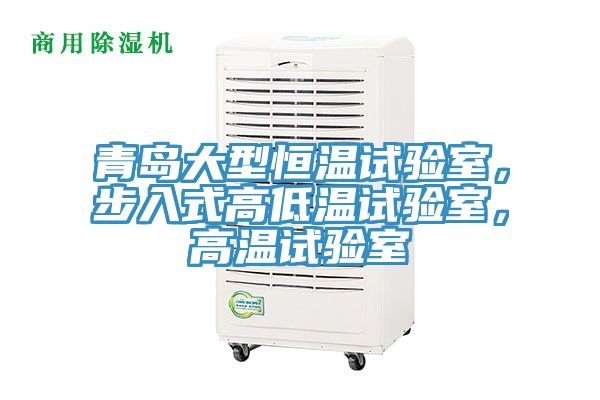 青島大型恒溫試驗(yàn)室，步入式高低溫試驗(yàn)室，高溫試驗(yàn)室