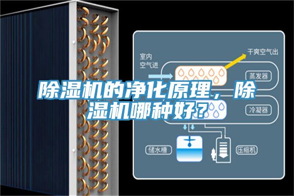 除濕機(jī)的凈化原理，除濕機(jī)哪種好？