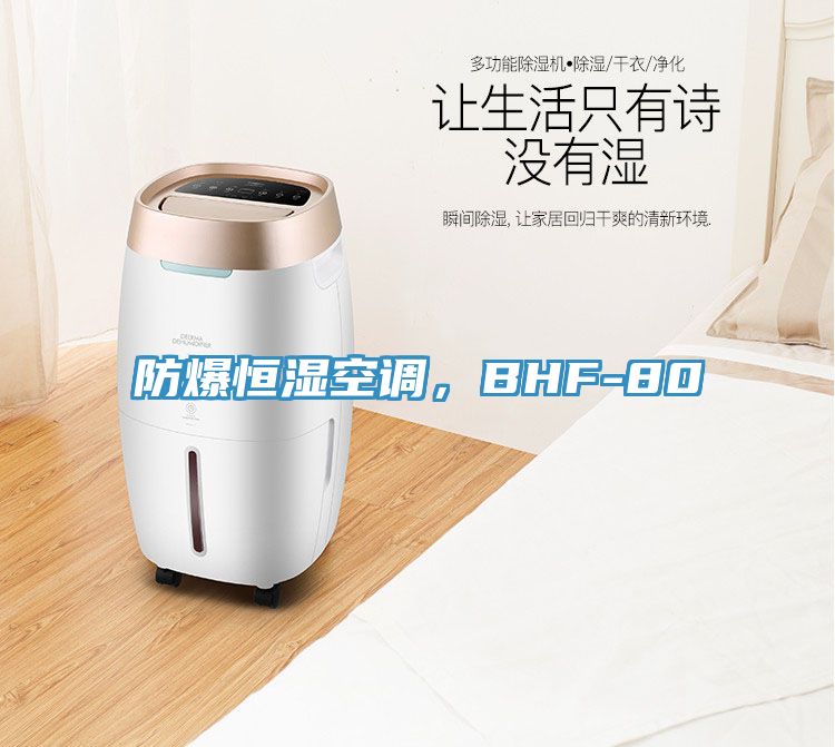 防爆恒濕空調(diào)，BHF-80