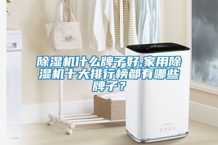 除濕機什么牌子好,家用除濕機十大排行榜都有哪些牌子？