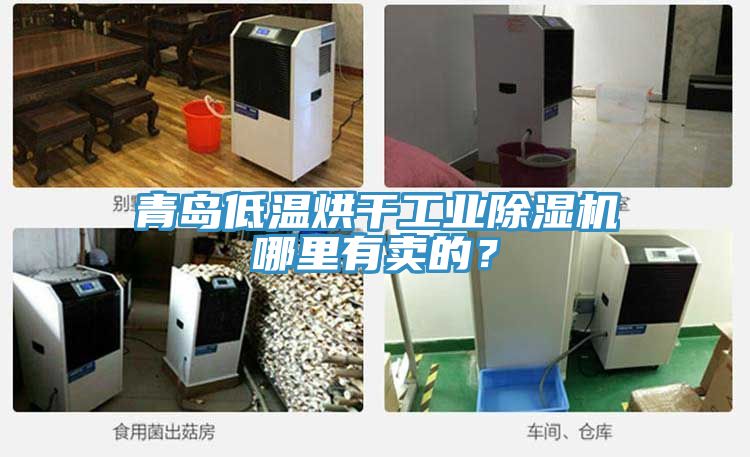 青島低溫烘干工業(yè)除濕機哪里有賣的？