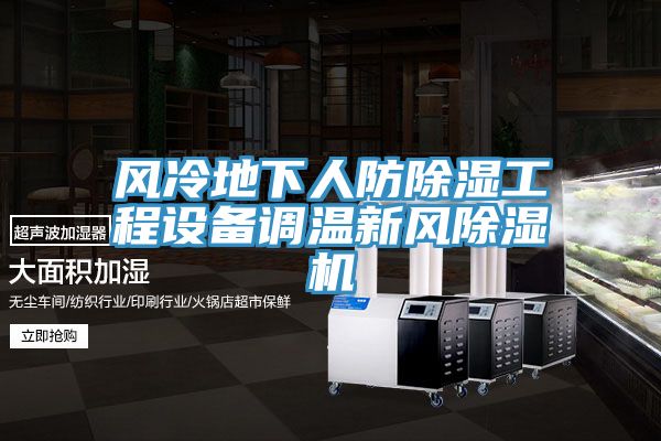 風冷地下人防除濕工程設(shè)備調(diào)溫新風除濕機