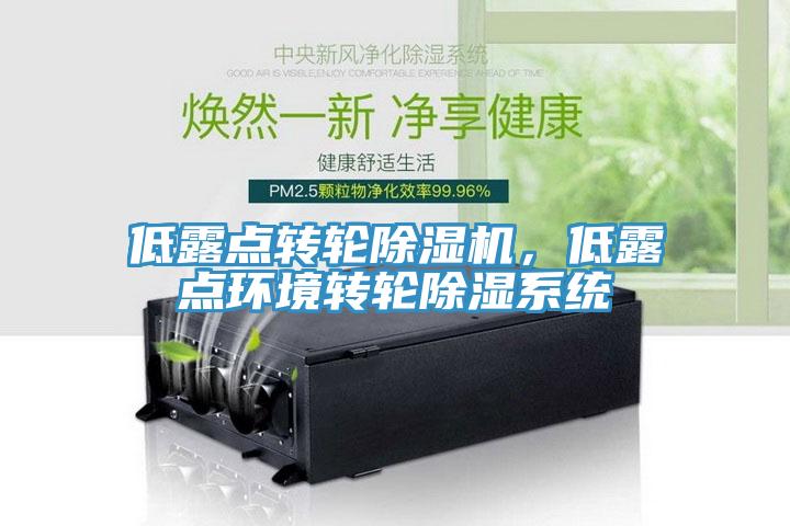 低露點轉輪除濕機，低露點環(huán)境轉輪除濕系統(tǒng)
