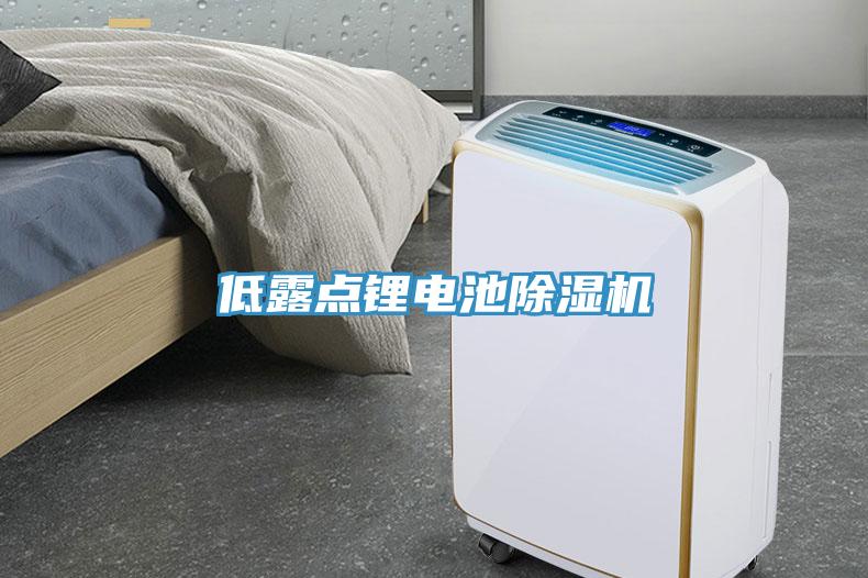 低露點鋰電池除濕機(jī)
