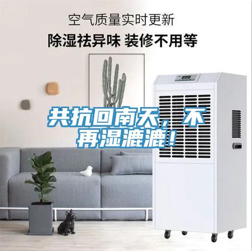 共抗回南天，不再濕漉漉！