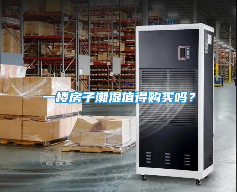 一樓房子潮濕值得購買嗎？