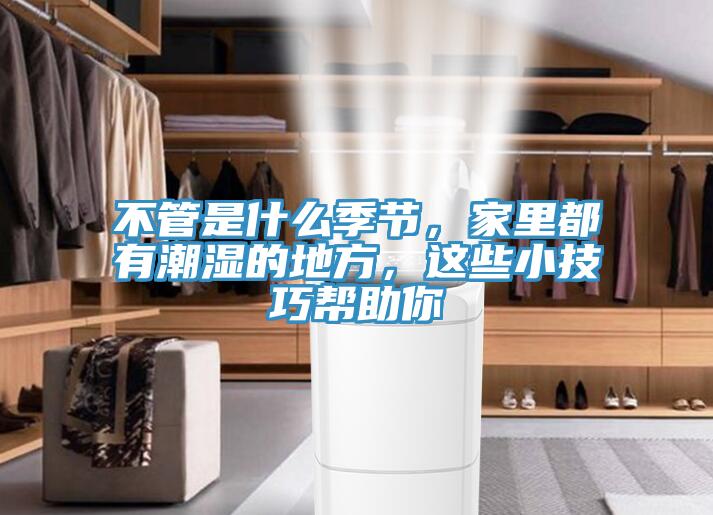 不管是什么季節(jié)，家里都有潮濕的地方，這些小技巧幫助你
