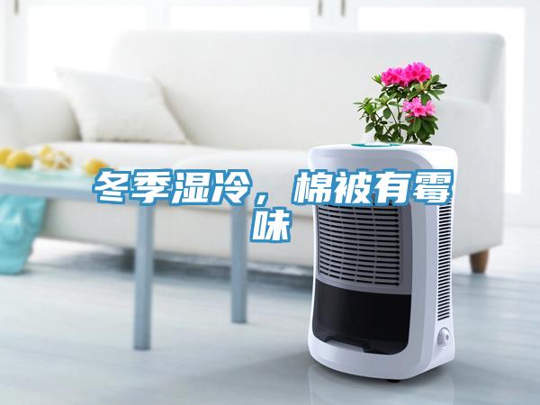 冬季濕冷，棉被有霉味