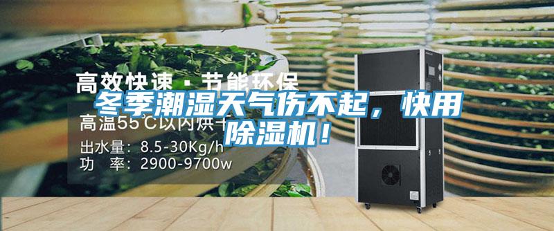 冬季潮濕天氣傷不起，快用除濕機！