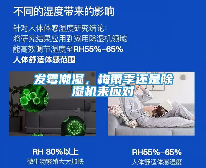發(fā)霉潮濕，梅雨季還是除濕機來應(yīng)對