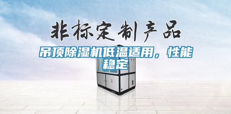 吊頂除濕機(jī)低溫適用，性能穩(wěn)定