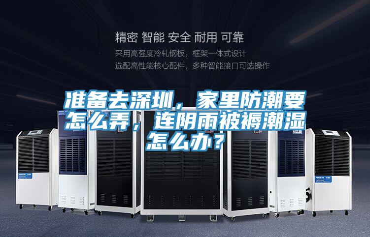 準備去深圳，家里防潮要怎么弄，連陰雨被褥潮濕怎么辦？