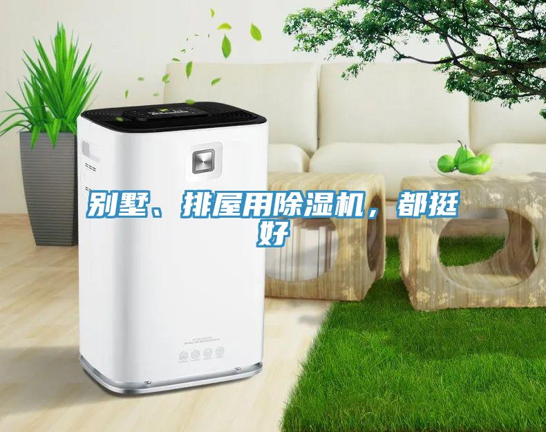 別墅、排屋用除濕機，都挺好