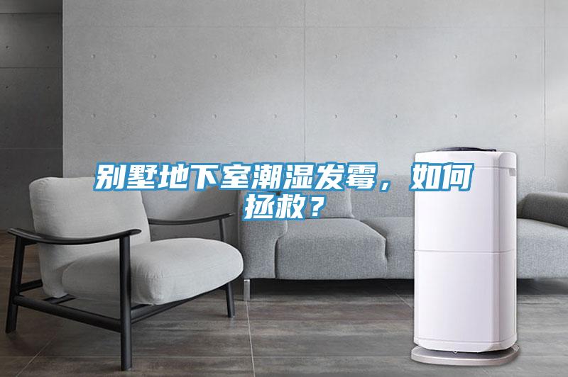 別墅地下室潮濕發(fā)霉，如何拯救？