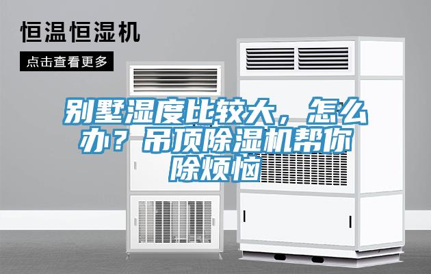 別墅濕度比較大,怎么辦?吊頂除濕機幫你除煩惱