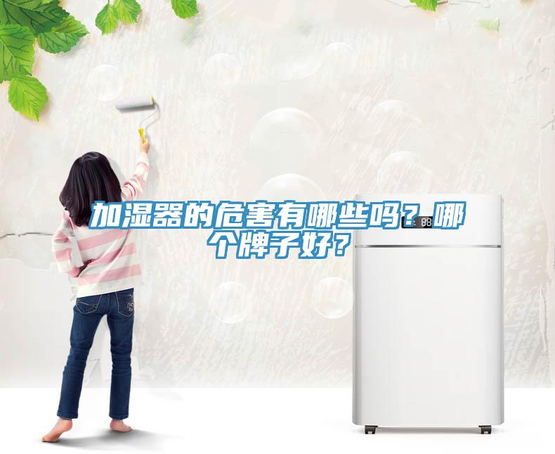 加濕器的危害有哪些嗎？哪個(gè)牌子好？