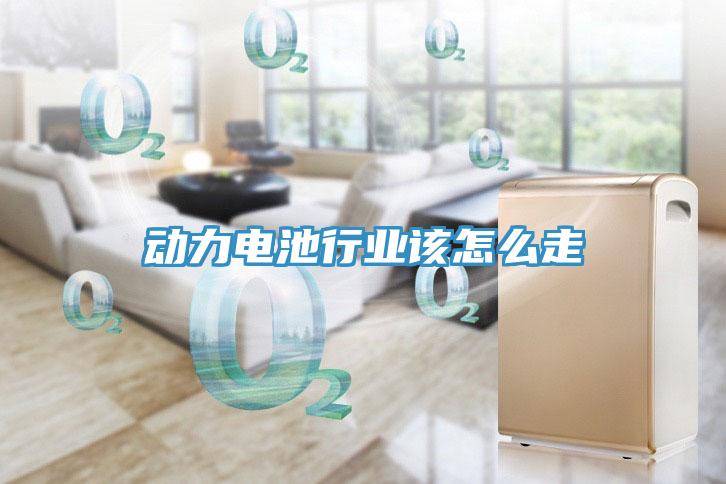 動(dòng)力電池行業(yè)該怎么走