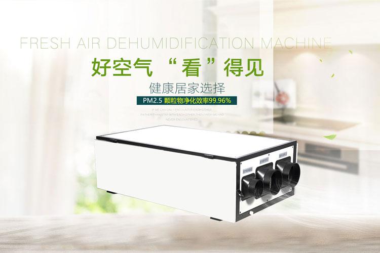 升溫型除濕機哪個品牌好，怎么選擇？